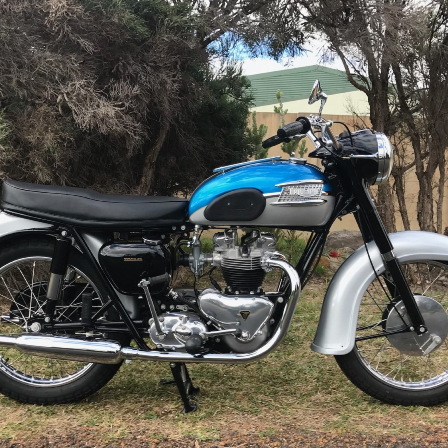 Kingfisher Blue Candy Paint Triumph Kingfisher Blue Candy Paint Product